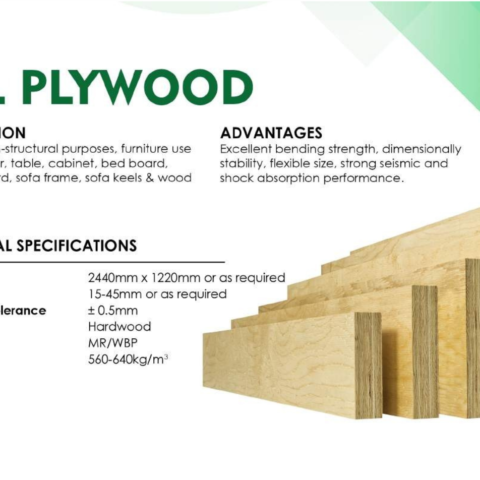LVL PLYWOOD