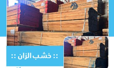 خشب الزان: قوة وأناقة في تصميمك