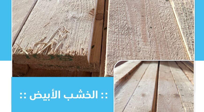 White wood: elegance and simplicity in your design