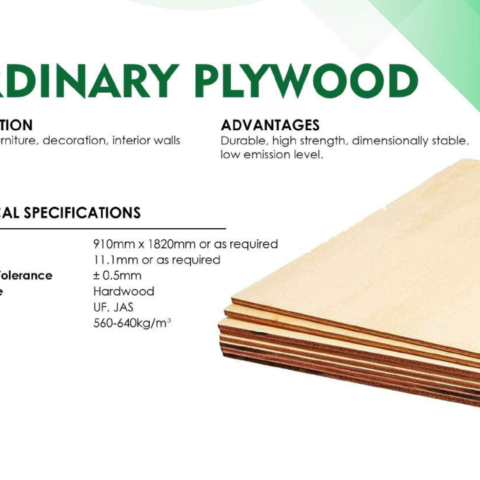 ORDINARY PLYWOOD