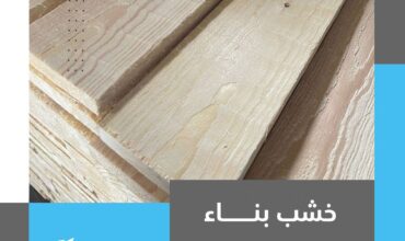 Spruce wood (white)